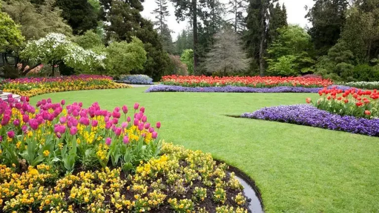 Landcare Logic Landscaping Services